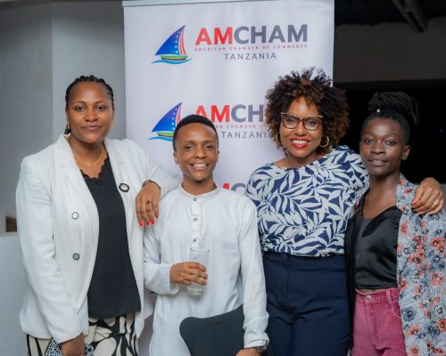 AMCHAM-28